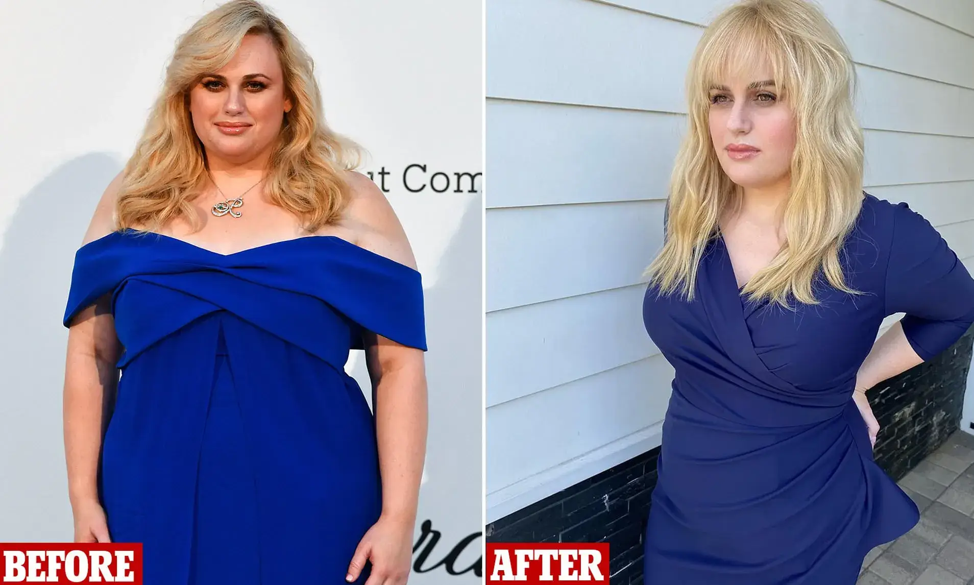 Rebel Wilson rebel Wilson age, weight loss, movies list, before after